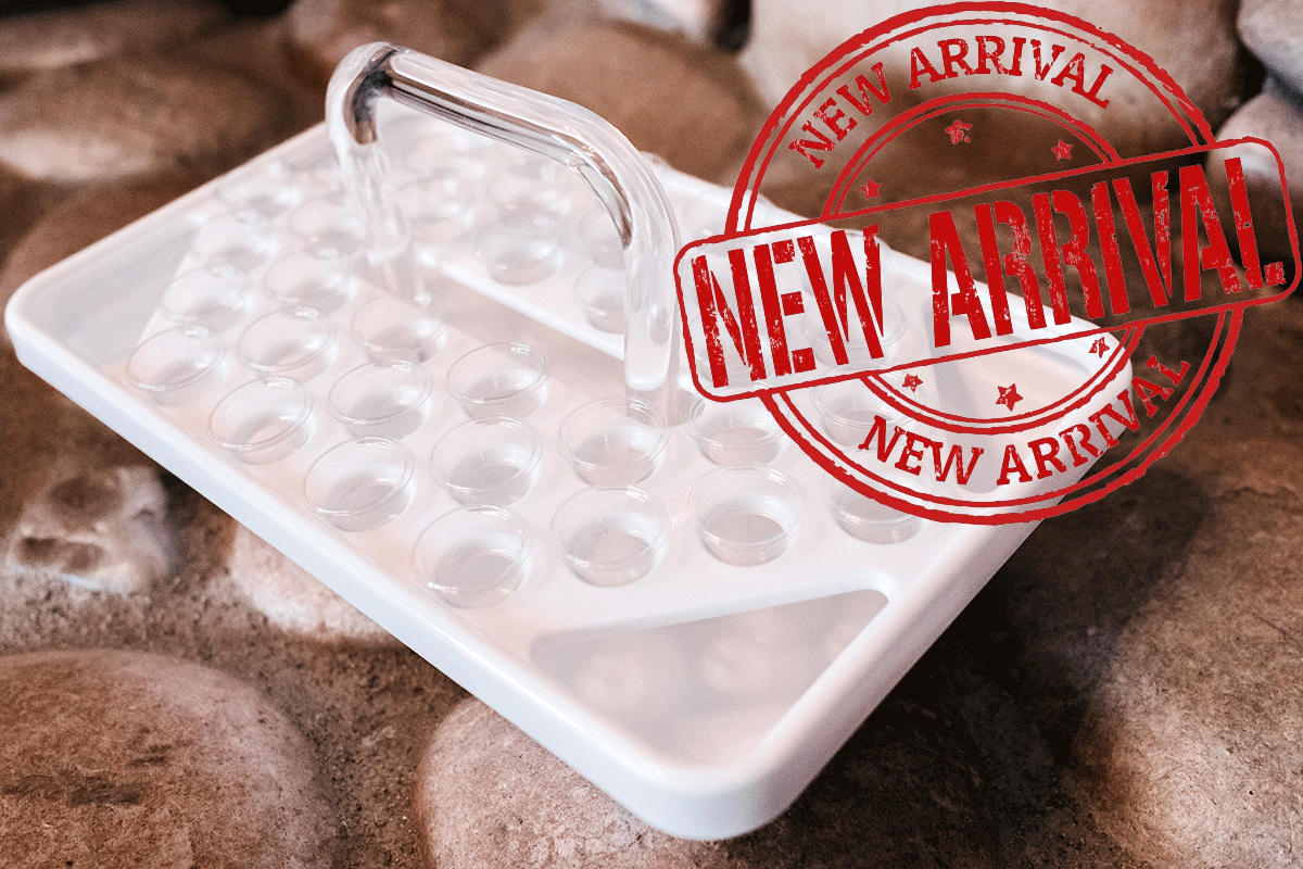 New Arrival